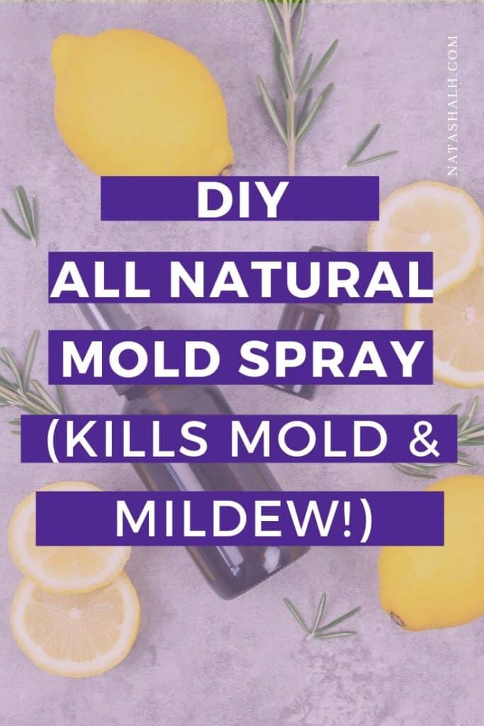 DIY Mold Spray with Essential Oils - Easy and Non-Toxic - The Artisan Life